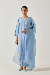 Ice Blue Cotton Mal Straight Kurta Set