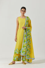 Yellow And Green Printed Kurta Set