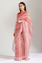 Sherbet batasha saree & blouse