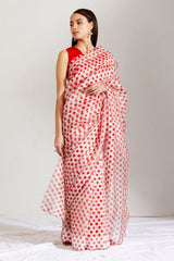 Sherbet batasha saree & blouse
