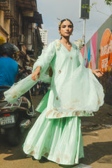 Dadar dreams Sharara set