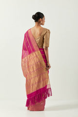 sunahri dhaari saree