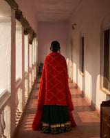 Rani Bahar  Reshmi  Lehenga  set