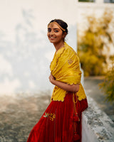 Rani  Champa  Makhmal  Lehenga  set