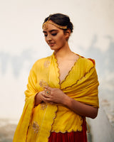 Rani  Champa  Makhmal  Lehenga  set