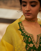 Makhmal  Rani Bahar  Kurta set