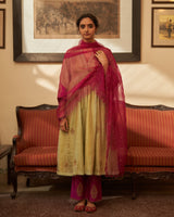 Pista  Jamuni  Rani Kurta  set