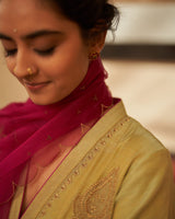 Pista  Jamuni  Rani Kurta  set