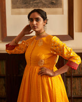 Surmai  Rani  Sharara set