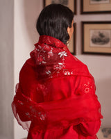 Laal guchha sitara kurta set