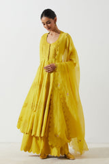 AMALTAAS KALI  KURTA