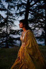 Bodh Chanderi Silk Lehenga