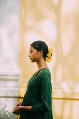 VILAYTI SHAMI