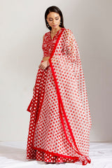 Chamcham batasha lehnga