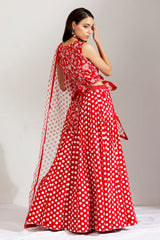 Chamcham batasha lehnga