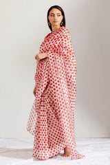 Sherbet batasha saree & blouse