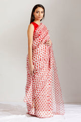 Sherbet batasha saree & blouse