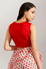 Sherbet batasha saree & blouse