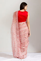 Sherbet batasha saree & blouse
