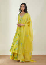 The Day Dream Kurta Set