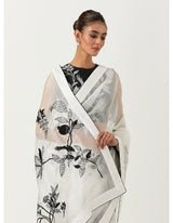 Madhu Bala saree and blouse