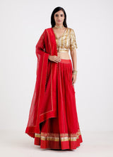 ASHWINI LEHNGA