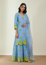 The Backyard Rose Sharara Set