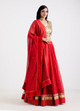ASHWINI LEHNGA