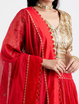 ASHWINI LEHNGA