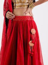 ASHWINI LEHNGA