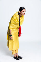 Dera Bassi  Chanderi Silk Kurta Set