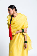 Dera Bassi  Chanderi Silk Kurta Set