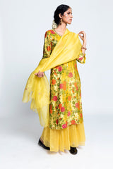 Bair Majra Velvet Print Sharara Set