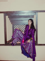 Jamuni Sitara Sharara Set