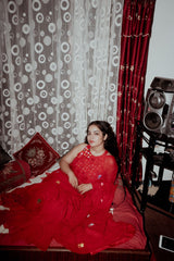 Phool Sitara Saree And Blouse