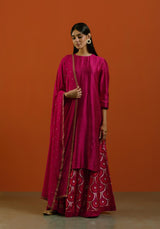 Gulabi Sitara Sharara Set