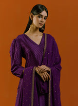 Jamuni Sitara Sharara Set