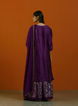 Jamuni Sitara Sharara Set