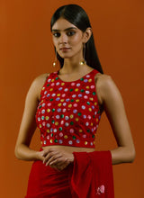 Phool Sitara Saree And Blouse