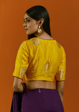 Jamuni Champa Kali Saree