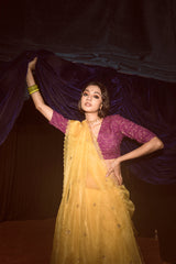 Vasanti Saree & Blouse