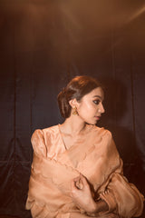 Aamrpaali Sari And Blouse