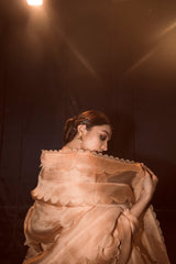 Aamrpaali Sari And Blouse