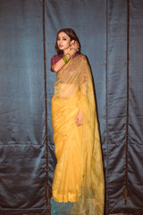 Vasanti Saree & Blouse