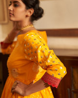 Surmai  Rani  Sharara set