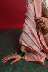 SUHANI SAANJH SAREE AND BLOUSE