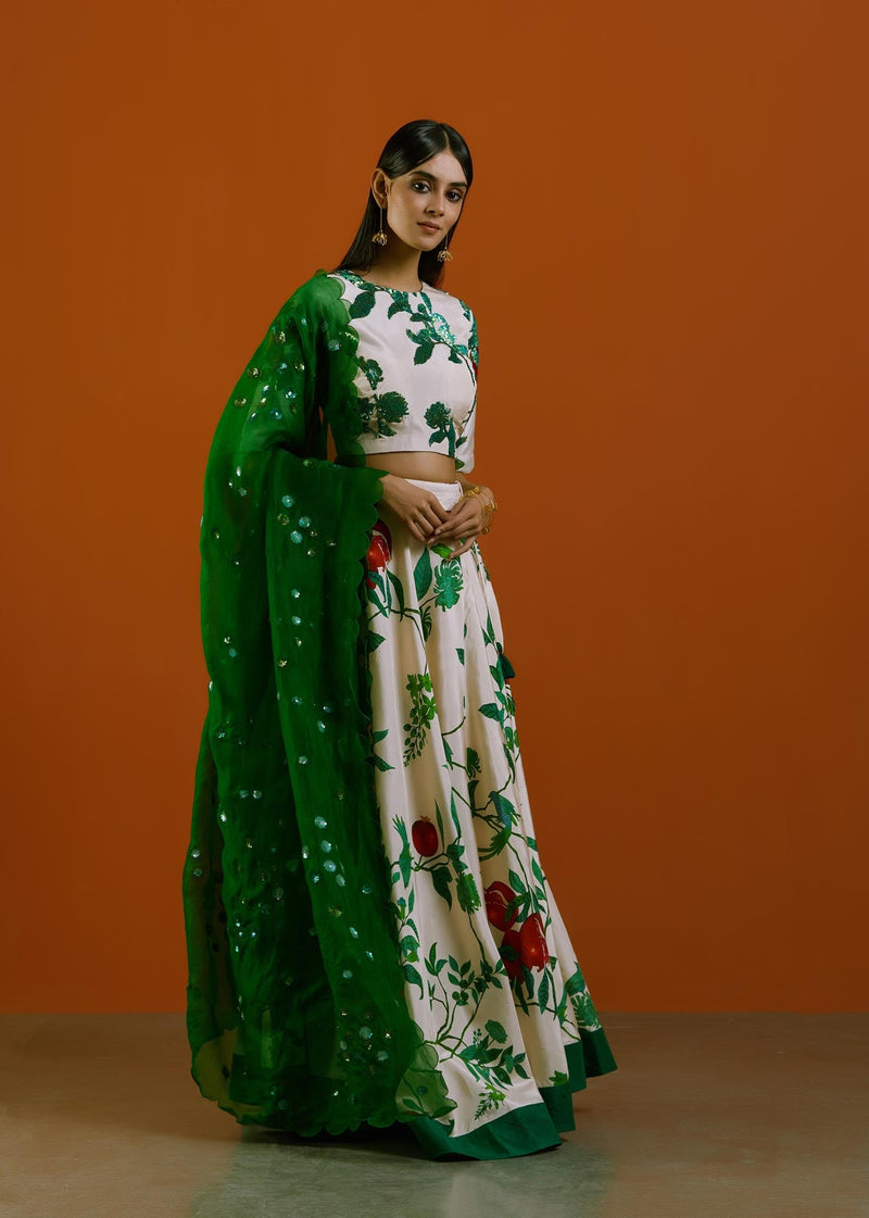 Ramri Lehnga Set